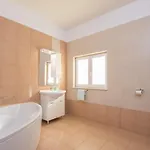 - Korcula Prižba